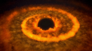 Black Holes : The strangest, most misunderstood entities in the Universe
